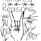 Hundred Reasons
