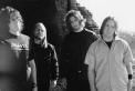 Element Eighty