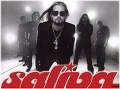 Saliva