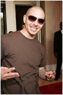 Pitbull