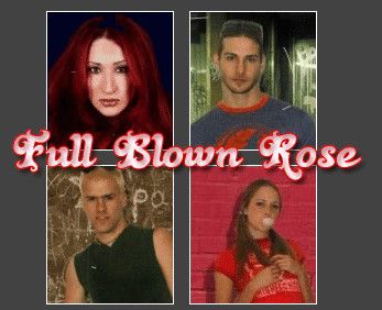 Full Blown Rose
