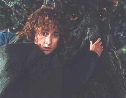 Billy Boyd