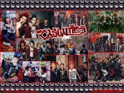 The Casualties