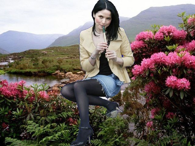 Andrea Corr