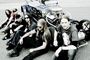 Soilwork