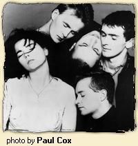 Sugarcubes
