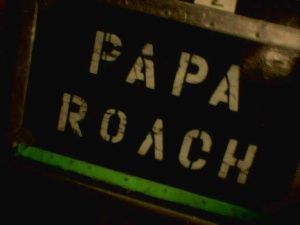 Papa Roach