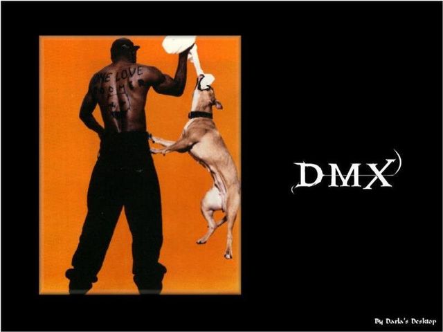 DMX