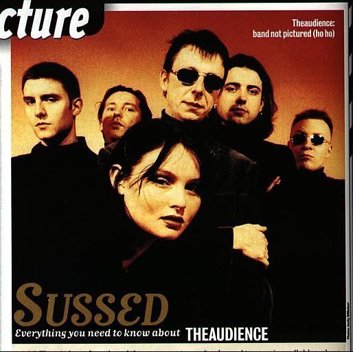 TheAudience