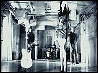 TheAudience
