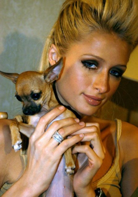Paris Hilton