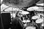 Roger Taylor