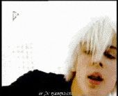 Son Of Dork