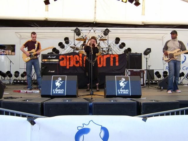 Apel Doorn