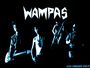 Les Wampas