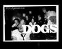 Dogs