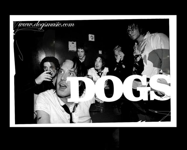Dogs