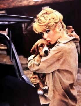 Brigitte Bardot