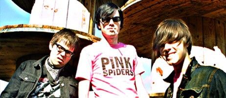 The Pink Spiders