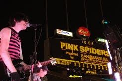 The Pink Spiders