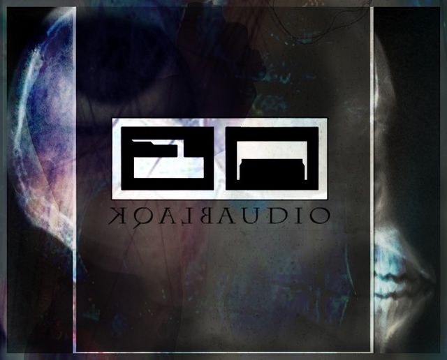 Blaqk Audio