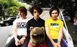 The Wombats