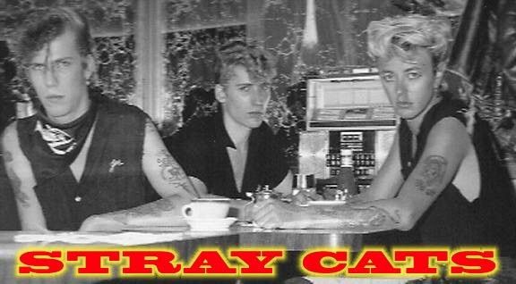 Stray Cats