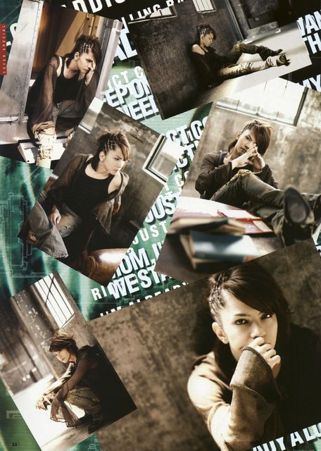 VAMPS