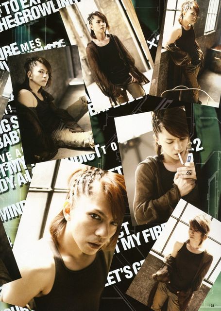 VAMPS