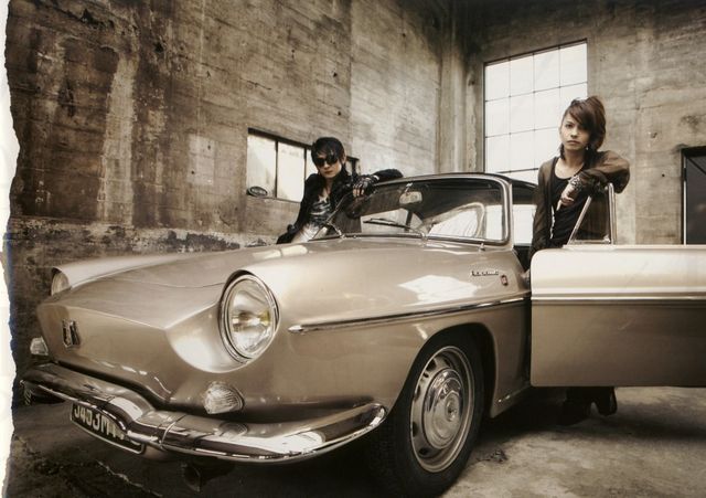 VAMPS