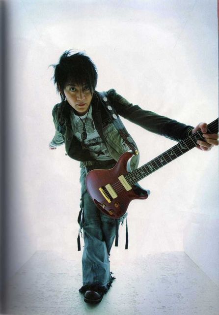 VAMPS