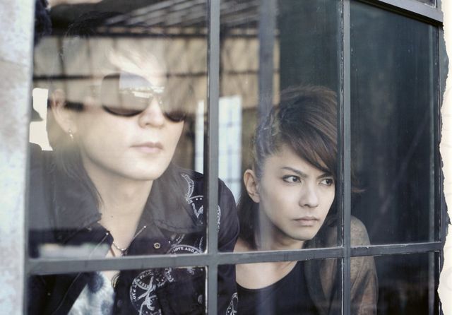 VAMPS