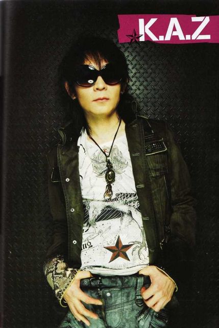 VAMPS