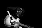 Chris Tomlin