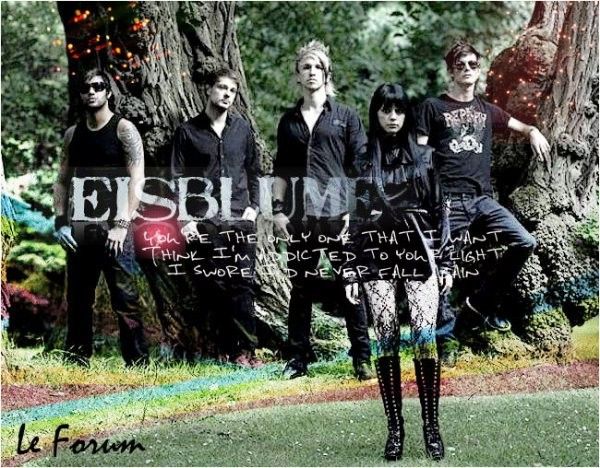 Eisblume