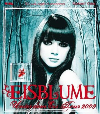 Eisblume