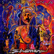 Shaman (2002)