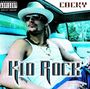 Picture (feat. Kid Rock)