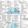 Ligabue (1990)