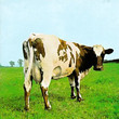 Atom Heart Mother (1970)