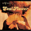 Soul Flower (2004)