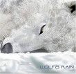 BO Wolf's Rain (2004)