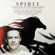Spirit : L'étalon Des Plaines (2002)
