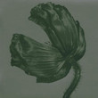 Release (2002)