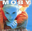 Everything Is Wrong (1995)