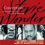 Conception (tribute To Stevie Wonder)