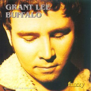 Paroles et traduction Grant Lee Buffalo : Fuzzy - paroles de chanson