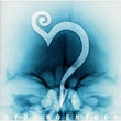Roentgen (2002)
