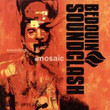 Sounding A Mosaic (2005)