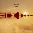 Aerial (2005)
